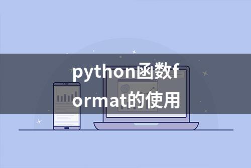 python函数format的使用