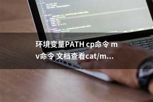 环境变量PATH cp命令 mv命令 文档查看cat/more/less/head/tail