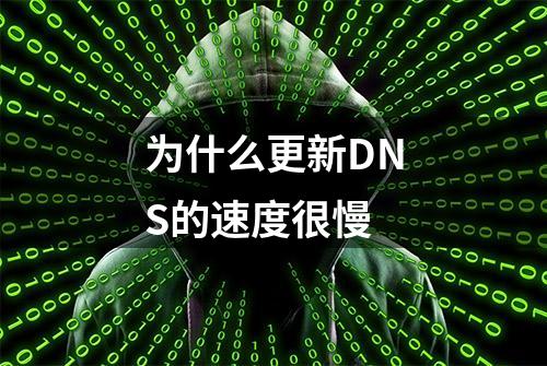 为什么更新DNS的速度很慢