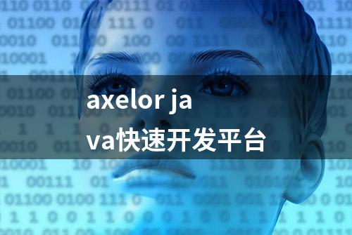 axelor java快速开发平台