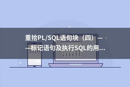 重拾PL/SQL语句块（四）——标记语句及执行SQL的用法