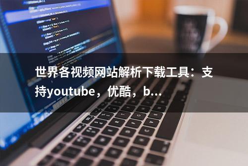 世界各视频网站解析下载工具：支持youtube，优酷，b站等