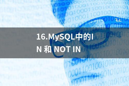 16.MySQL中的IN 和 NOT IN