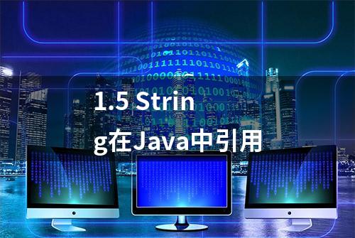 1.5 String在Java中引用