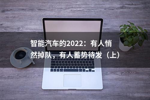 智能汽车的2022：有人悄然掉队，有人蓄势待发（上）