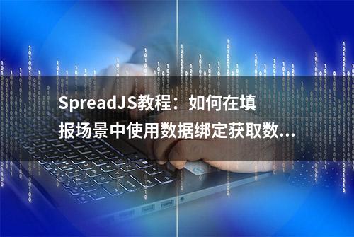 SpreadJS教程：如何在填报场景中使用数据绑定获取数据源