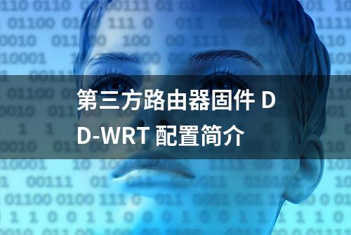 第三方路由器固件 DD-WRT 配置简介