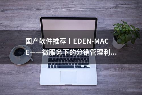 国产软件推荐丨EDEN-MACE——微服务下的分销管理利器