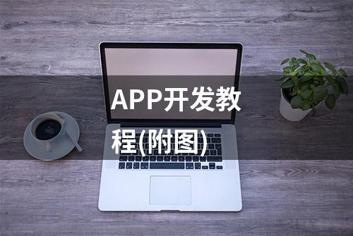 APP开发教程(附图)