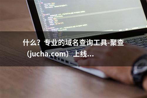 什么？专业的域名查询工具-聚查（jucha.com）上线了