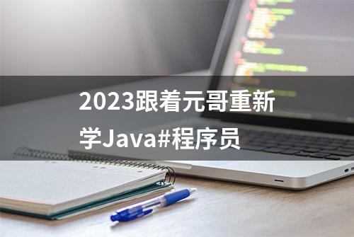 2023跟着元哥重新学Java#程序员