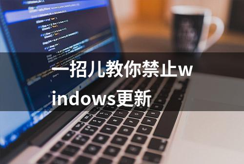 一招儿教你禁止windows更新