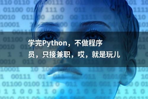 学完Python，不做程序员，只接兼职，哎，就是玩儿