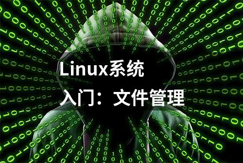 Linux系统入门：文件管理