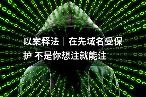 以案释法｜在先域名受保护 不是你想注就能注