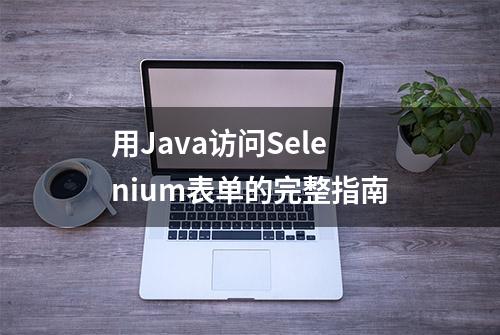 用Java访问Selenium表单的完整指南