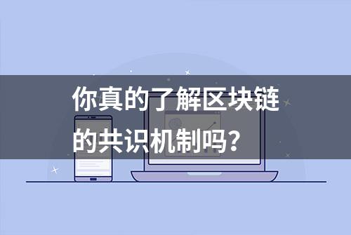 你真的了解区块链的共识机制吗？