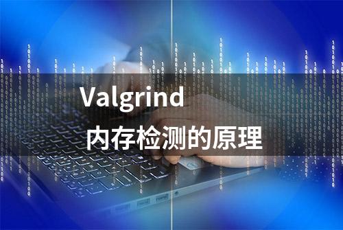 Valgrind 内存检测的原理