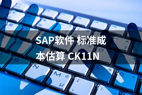 SAP软件 标准成本估算 CK11N