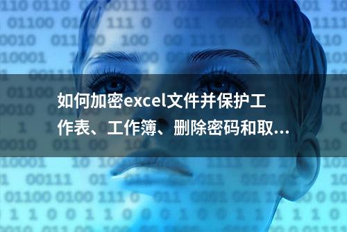 如何加密excel文件并保护工作表、工作簿、删除密码和取消保护