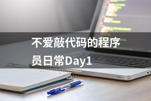 不爱敲代码的程序员日常Day1