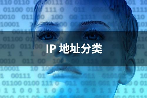 IP 地址分类