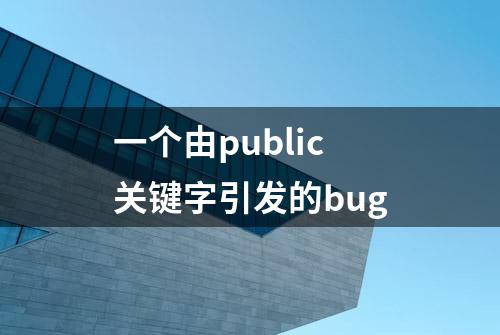 一个由public关键字引发的bug