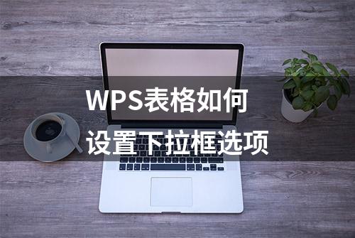 WPS表格如何设置下拉框选项