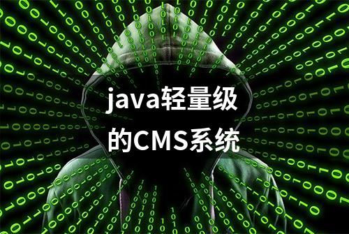 java轻量级的CMS系统