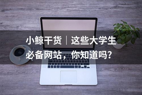 小鲸干货｜这些大学生必备网站，你知道吗？