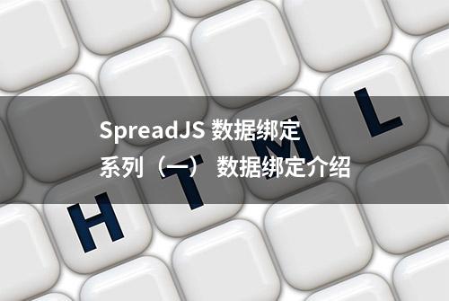 SpreadJS 数据绑定系列（一） 数据绑定介绍