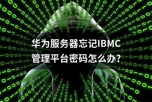 华为服务器忘记IBMC管理平台密码怎么办？