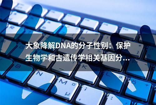 大象降解DNA的分子性别：保护生物学和古遗传学相关基因分型测定