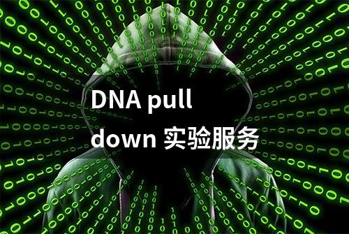 DNA pull down 实验服务