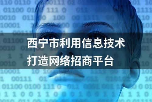 西宁市利用信息技术打造网络招商平台