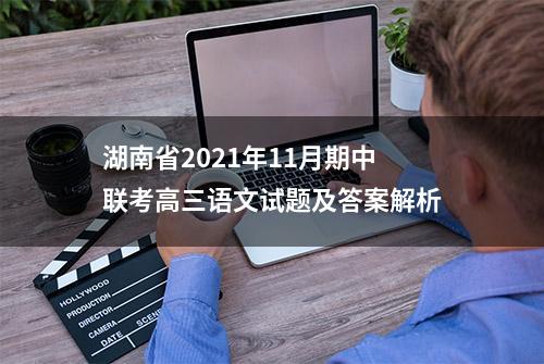 湖南省2021年11月期中联考高三语文试题及答案解析