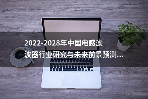 2022-2028年中国电感滤波器行业研究与未来前景预测报告