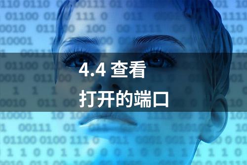 4.4 查看打开的端口