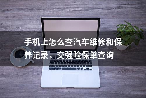 手机上怎么查汽车维修和保养记录，交强险保单查询