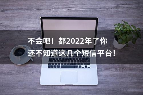 不会吧！都2022年了你还不知道这几个短信平台！