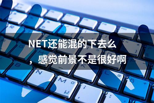 NET还能混的下去么，感觉前景不是很好啊