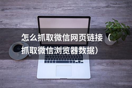 怎么抓取微信网页链接（抓取微信浏览器数据）