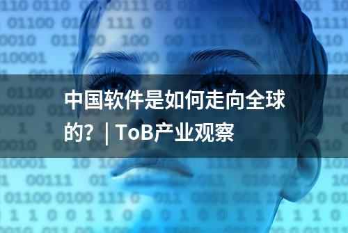 中国软件是如何走向全球的？| ToB产业观察