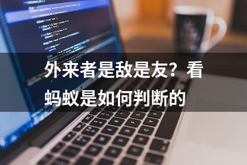 外来者是敌是友？看蚂蚁是如何判断的