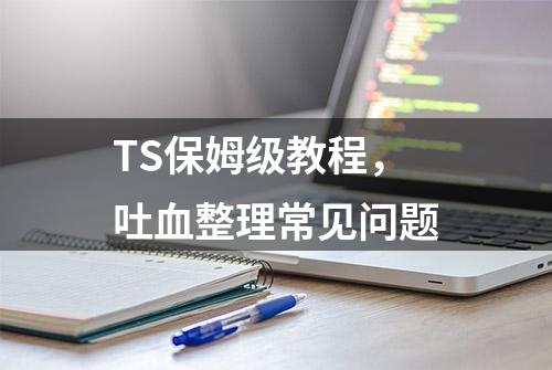 TS保姆级教程，吐血整理常见问题