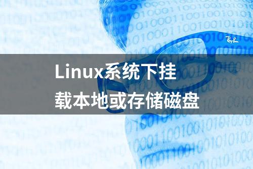 Linux系统下挂载本地或存储磁盘