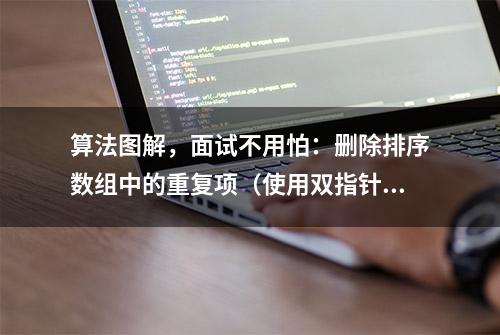 算法图解，面试不用怕：删除排序数组中的重复项（使用双指针）