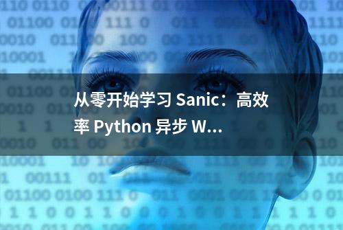 从零开始学习 Sanic：高效率 Python 异步 Web 开发指南