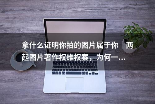 拿什么证明你拍的图片属于你｜两起图片著作权维权案，为何一胜一败？