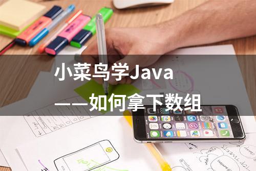 小菜鸟学Java——如何拿下数组